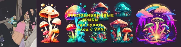 стаф Майский