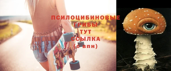 стаф Майский