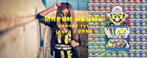 стаф Майский