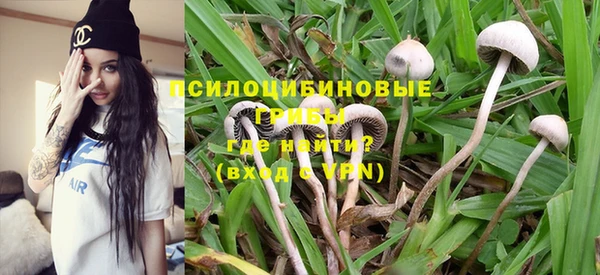 стаф Майский