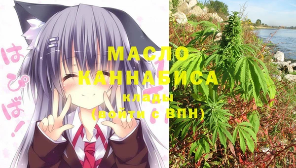 стаф Майский