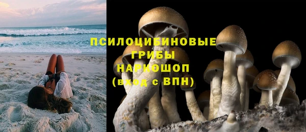 стаф Майский