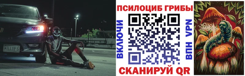 Псилоцибиновые грибы MAGIC MUSHROOMS  купить наркотик  Калтан 